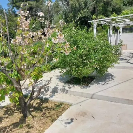 Appartamento And King Mokošica